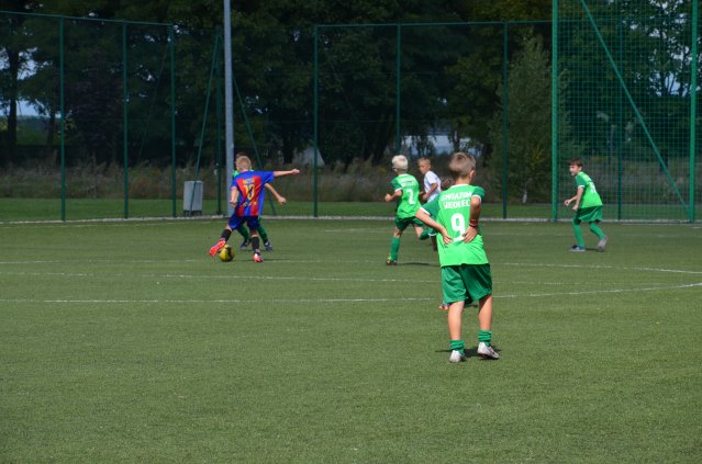 10-lecie 113